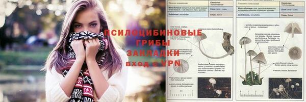 марки lsd Алзамай