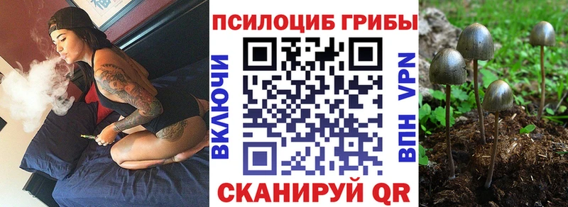 Псилоцибиновые грибы мицелий  Якутск 