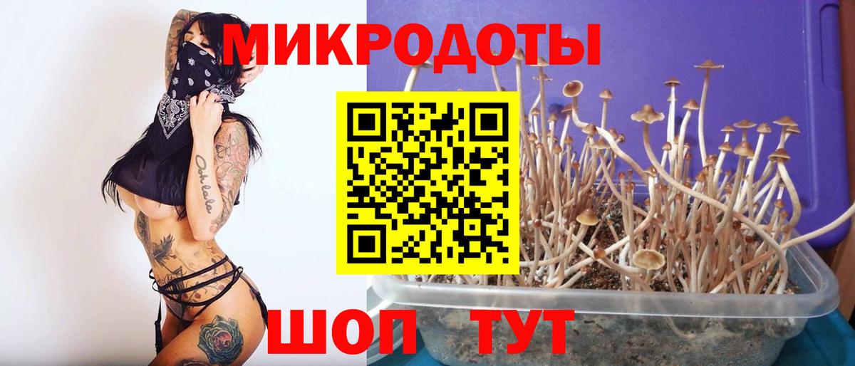 Галлюциногенные грибы мицелий Якутск
