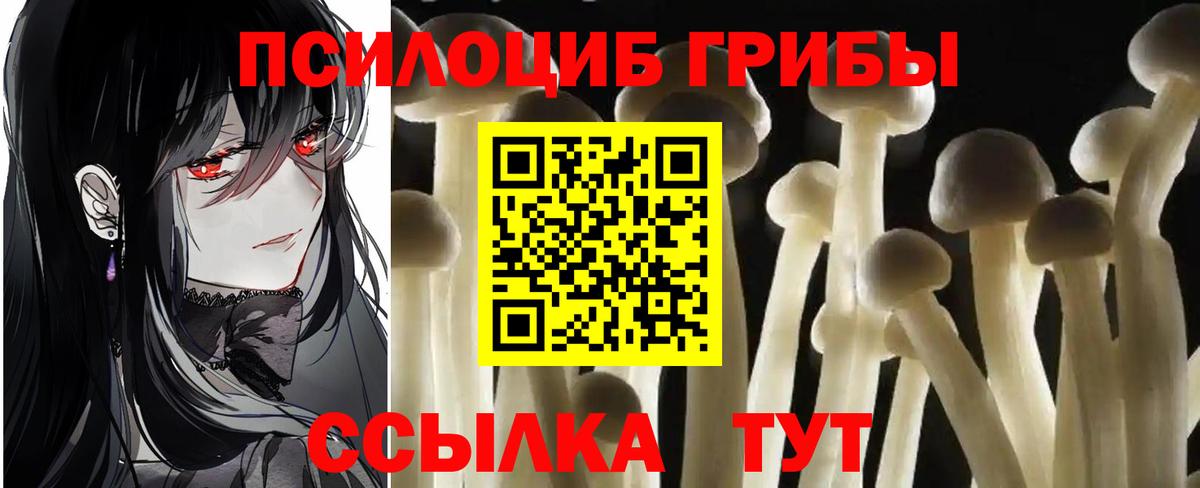 Галлюциногенные грибы прущие грибы  Вход с VPN  Галлюциногенные грибы ЛСД  наркотики  Якутск 