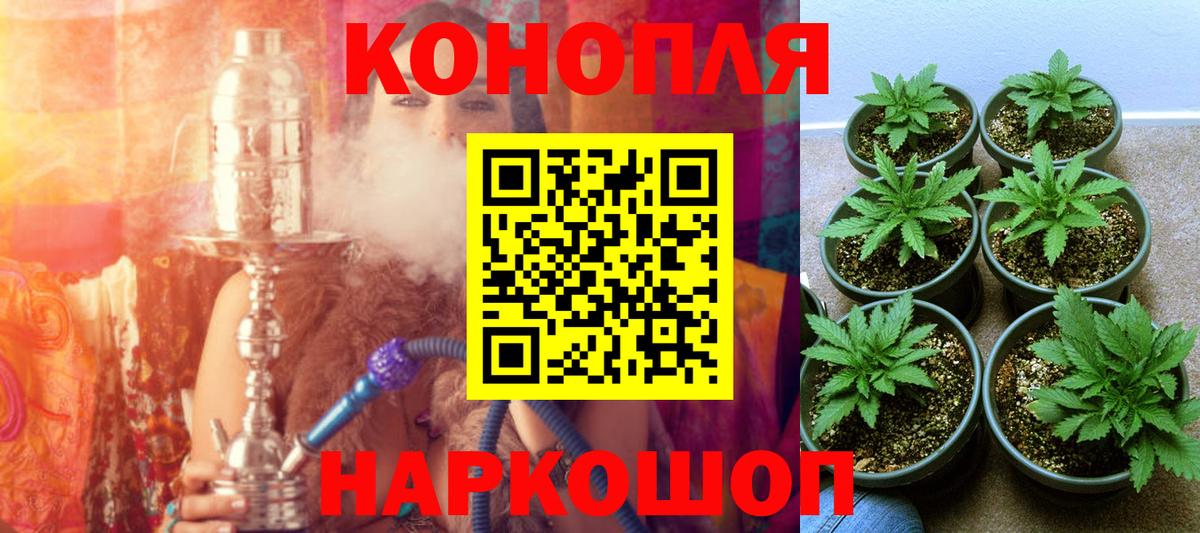 Марихуана SATIVA & INDICA  Каннабис план  Якутск  Вход с VPN  Конопля THC 21% 